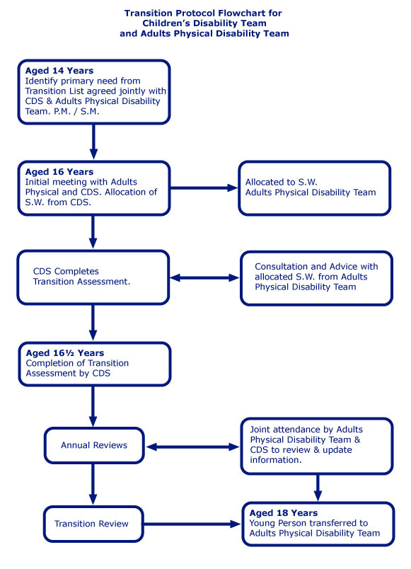 Transition Protocol Flowchart